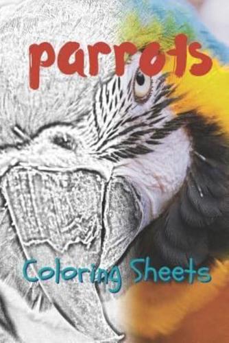 Parrot Coloring Sheets