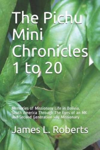 The Pichu Mini Chronicles 1 to 20