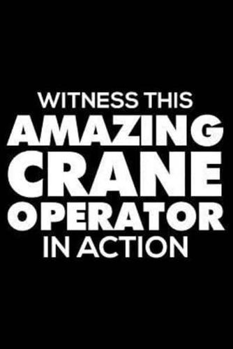 Witness This Amazing Crane Operator In Action