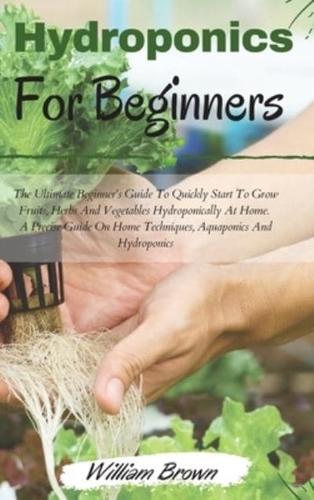 Hydroponics for Beginners