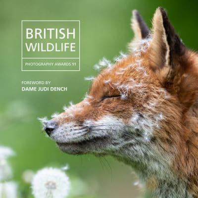 British Wildlife Photography Awards 2022