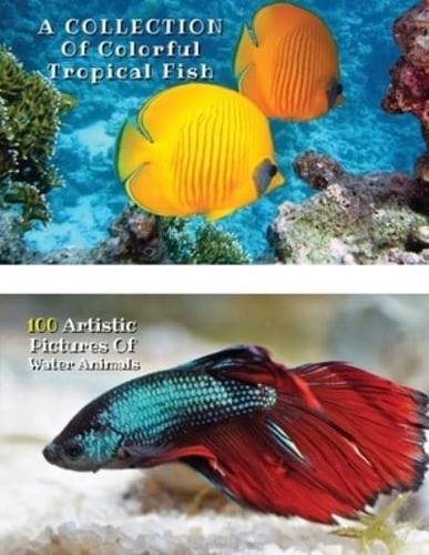 A Collection of Colorful Tropical Fish - 100 Artistic Pictures of Water Animals - Full Color HD