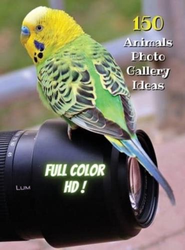 Animal Photos and Premium High Resolution Pictures - Full Color HD