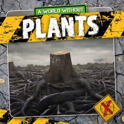 A World Without Plants