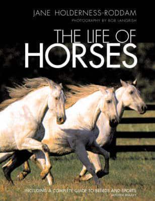 The Life of Horses