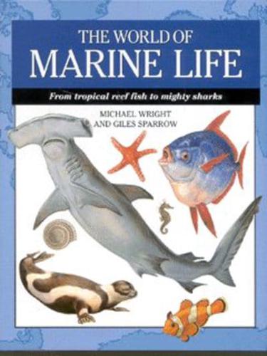 The World of Marine Life