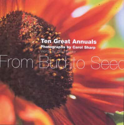 Great Annuals