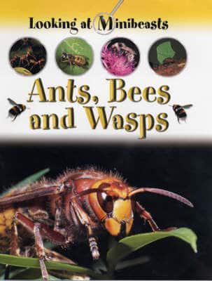 Ants, Bees and Wasps