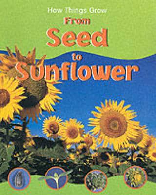 From Seed to Sunflower