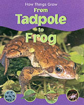 From Tadpole to Frog