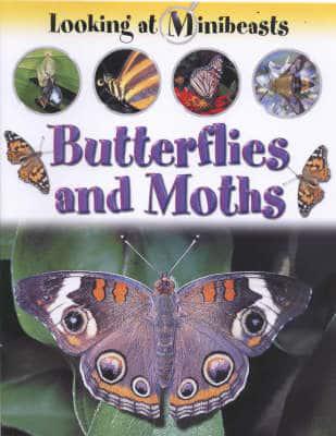 Butterflies and Moths