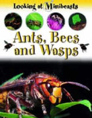 Ants, Bees and Wasps