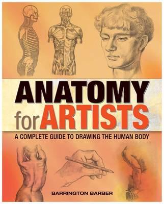 Anatomy for Artists