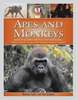 Apes and Monkeys