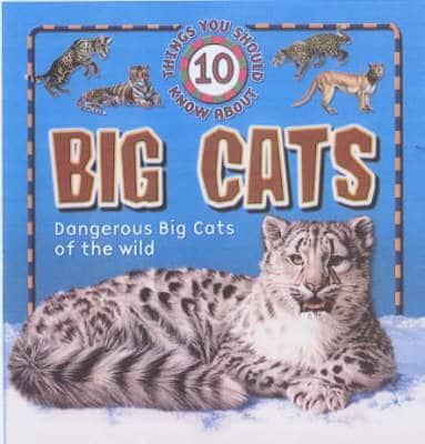 10 Things You Should Know About Big Cats