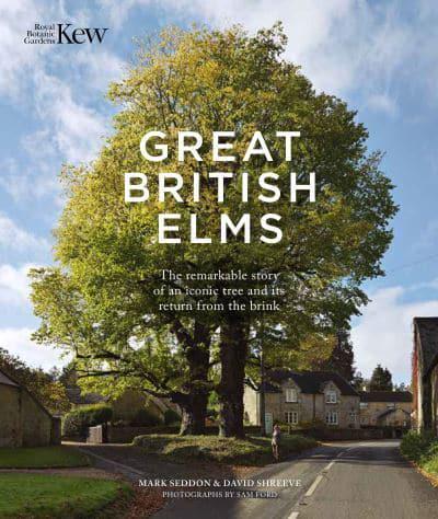 Great British Elms