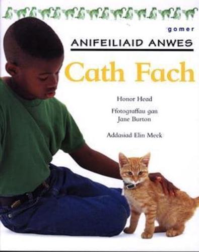 Cath Fach