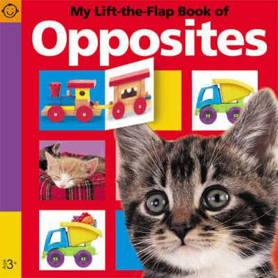 My Lift-the-Flap Book of Opposites