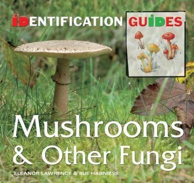 British & European Mushrooms & Other Fungi