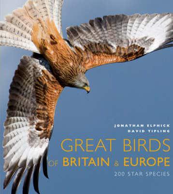 Great Birds of Britain & Europe