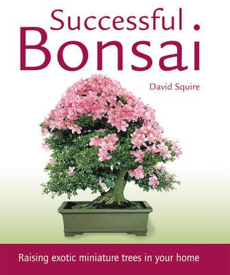 Successful Bonsai