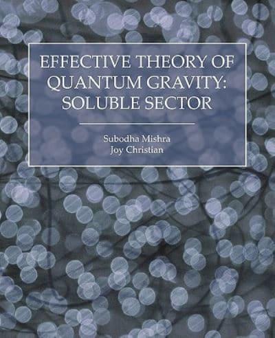 Effective Theory of Quantum Gravity: Soluble Sector