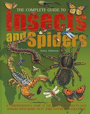 The Complete Guide to Insects and Spiders