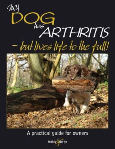 My Dog Has Arthritis - But Lives Life to the Full!