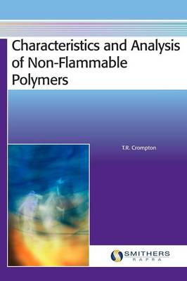 Characteristics and Analysis of Non-Flammable Polymers