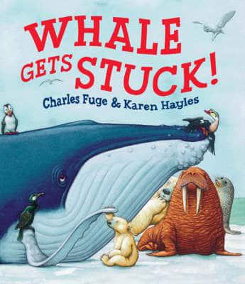 Whale Gets Stuck!