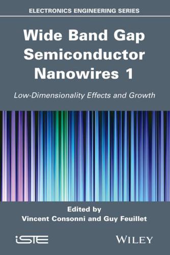 Wide Band Gap Semiconductor Nanowires