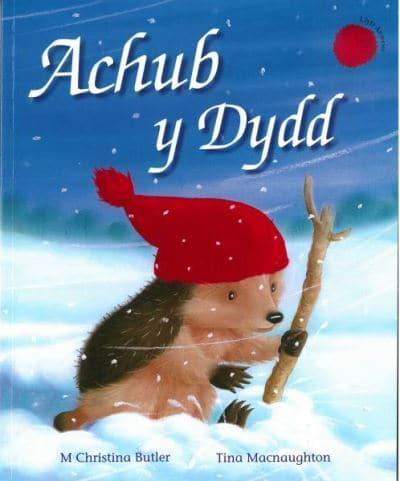 Achub Y Dydd