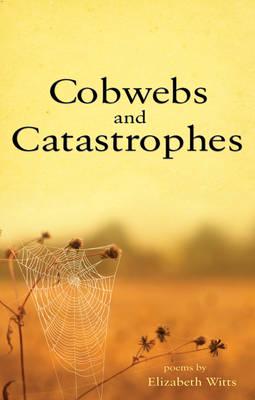 Cobwebs and Catastrophes