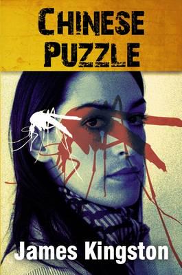 Chinese Puzzle