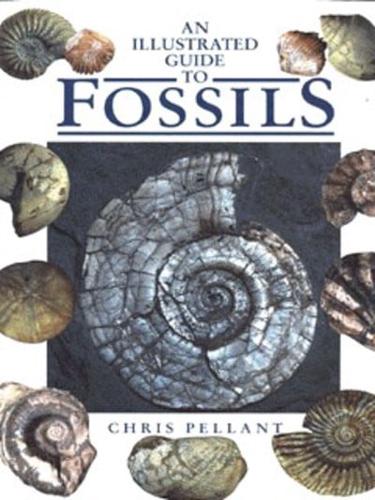 An Illustrated Guide to Fossils