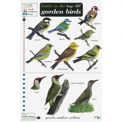Guide to the 'Top 50' Garden Birds