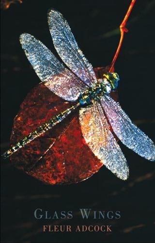 Glass Wings