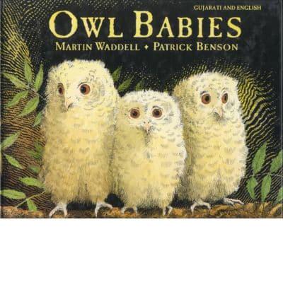 Owl Babies