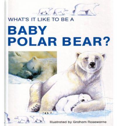 What's It Like to Be a Baby Polar Bear?