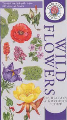 Wild Flowers of Britain & Northern Europe