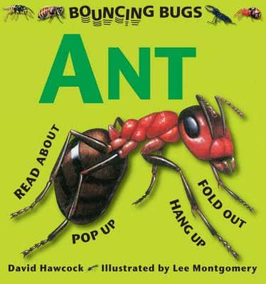 Ant