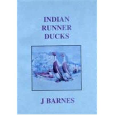 Indian Runner Ducks