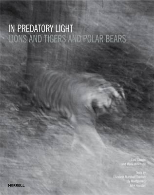 In Predatory Light