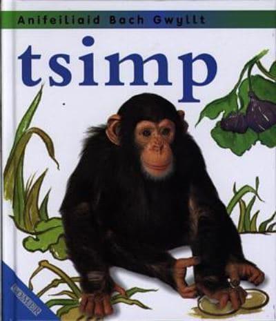 Tsimp