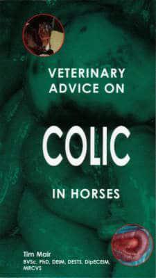 Veterinary Advice on Colic in Horses