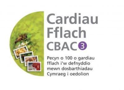 Cardiau Fflach CBAC 3