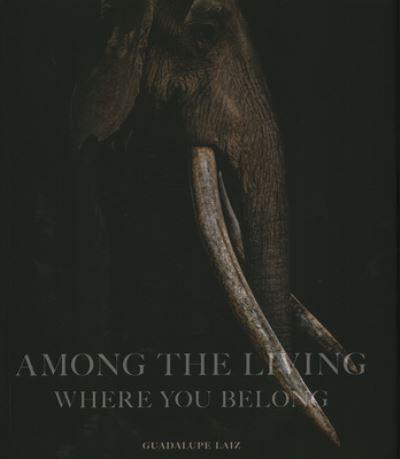 Among the Living, Where You Belong