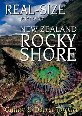 Real-Size Guide to the NZ Rocky Shore