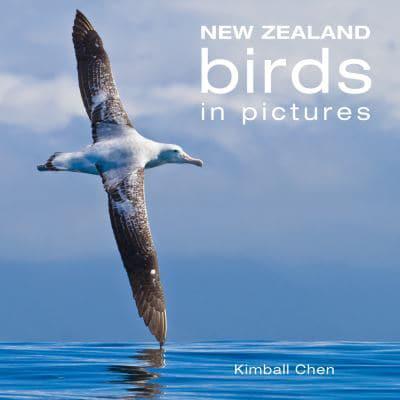 New Zealand Birds In Pictures
