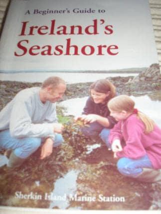 A Beginner's Guide to Ireland's Seashore
